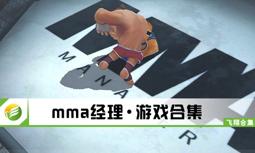 MMA经理