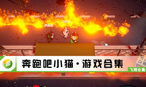 奔跑吧小猫