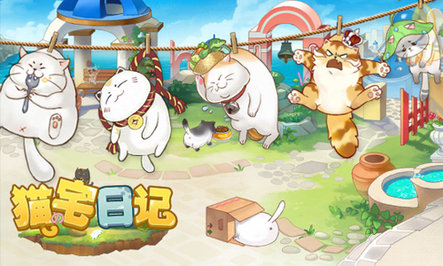 猫宅日记