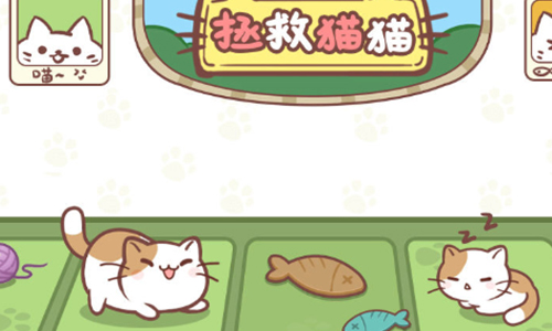 拯救猫猫
