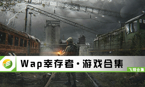 Wap幸存者