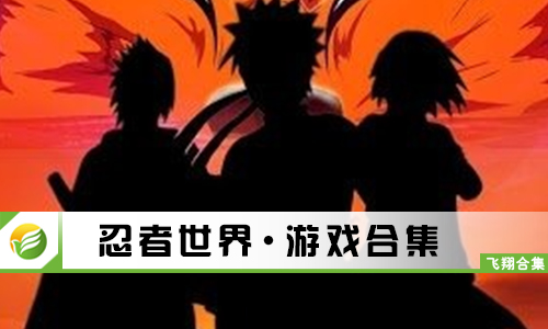 忍者世界