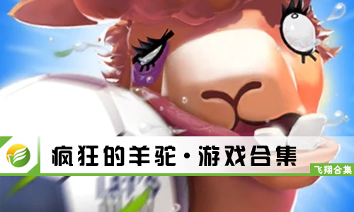 疯狂的羊驼