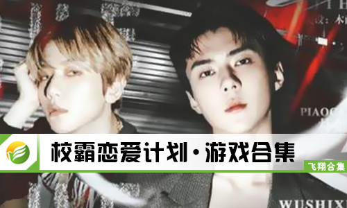 校霸恋爱计划