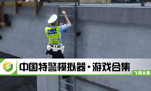 中国特警模拟器