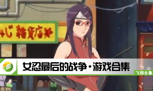 女忍最后的战争