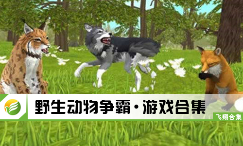 野生动物争霸