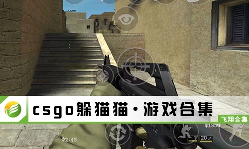 csgo躲猫猫