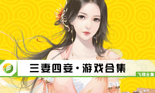 三妻四妾
