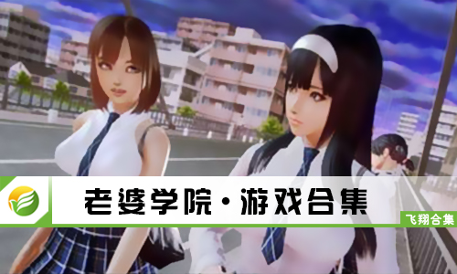 老婆学院