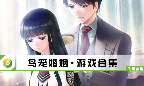 鸟笼婚姻