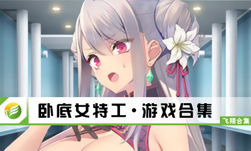 卧底女特工