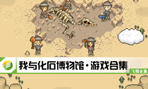 我与化石博物馆
