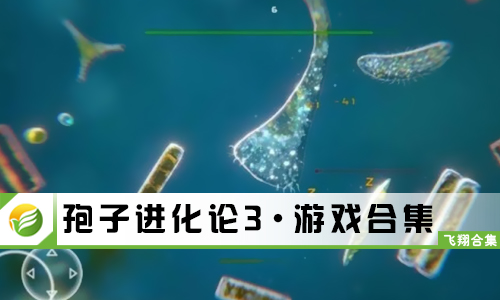 孢子进化论3