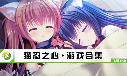 猫忍之心