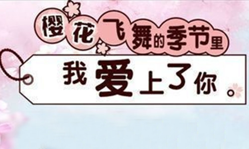 樱花飞舞的季节里我爱上了你