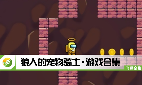 狼人的宠物骑士