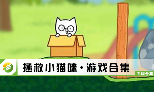 拯救小猫咪