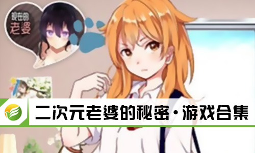 二次元老婆的秘密