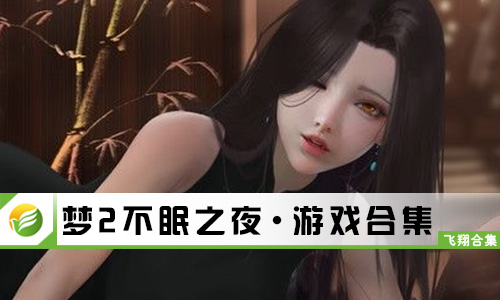 梦2不眠之夜