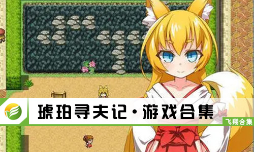 琥珀寻夫记