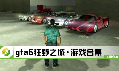 gta6狂野之城