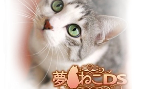 梦猫DS