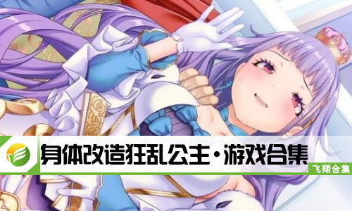 身体改造狂乱公主