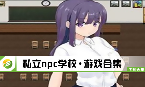 私立npc学校