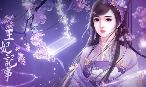 王妃记事