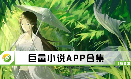 巨量小说