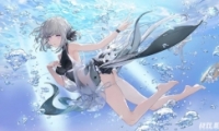 ս˫ʲտջ淨