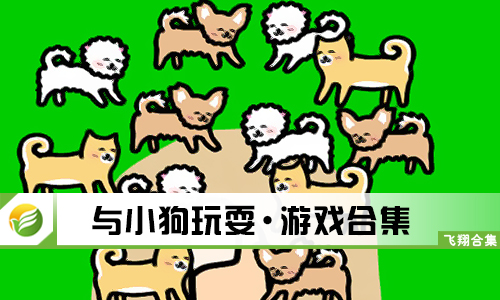 与小狗玩耍