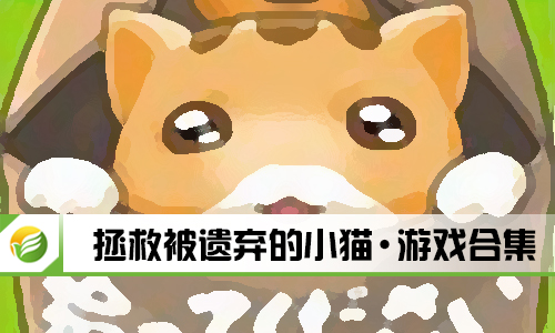 拯救被遗弃的小猫
