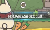ռǾ԰빥