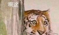 ˺ʲͬһŶۡʲô