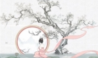 ޸衷һ괺ôɾʹɹ