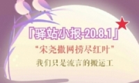 2020ˮ81վСһ