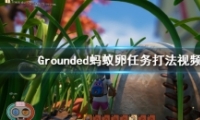 淨