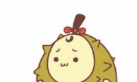 ˸ʲô