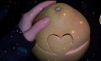 ĵһӡʲô