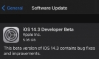 ƻIOS 14.3 Beta̳̹