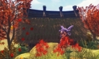 ֮Dɸѡ