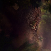 The Fabled Woods