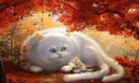 ɽFFȡ