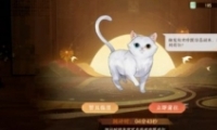 绪¼׽èɹ