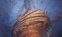 ˫˳Сٷ