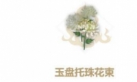 ɽ黨ȡ