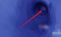СӼ̨λһ