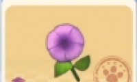 Ħׯ԰ǣţȡ
